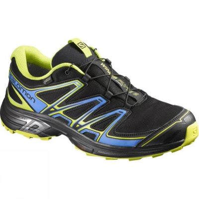 Zapatillas Running Salomon Wings Flyte 2 GTX Hombre - Negras / Azules - Chile HLM529437